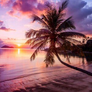 UNLISTED $3-$5 starts POSH LIVE